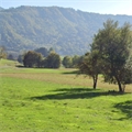 Image du bien APR745570